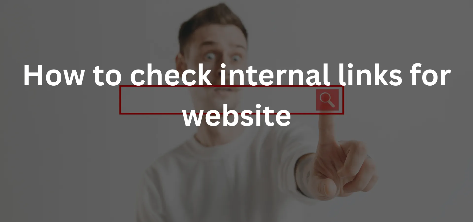 how to checker interlink for website