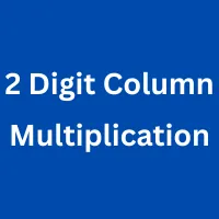 2 Digit Column Multiplication
